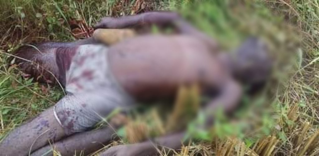 Suspected Fulani Herdsmen Attack Benue, Kill 18 Including Children [Graphic Photos]