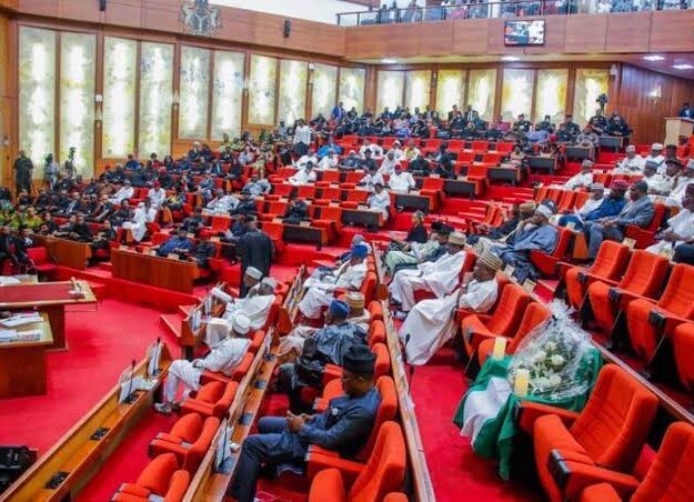 Drama In Senate As Suspicious N206bn Arms Purchase Fund Found In Humanitarian Affairs Ministry’s Budget
