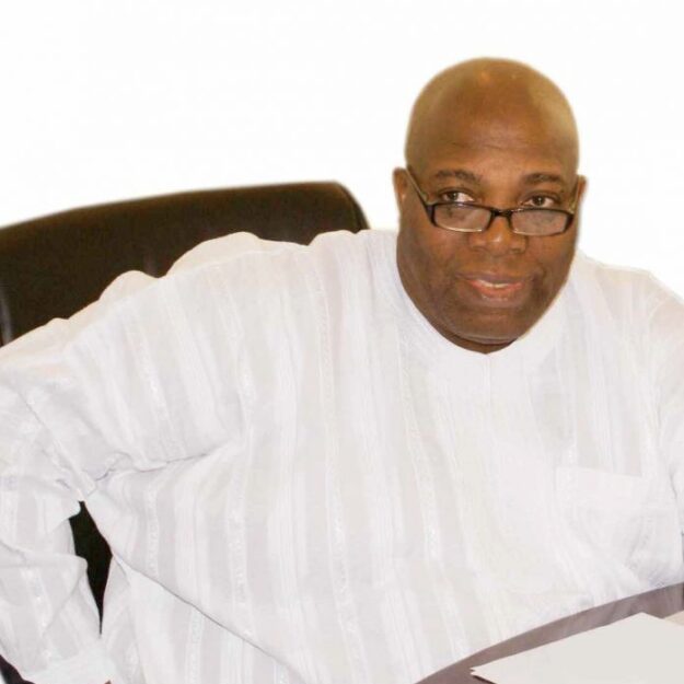 Ogun Labour Party expels Okupe, 10 others