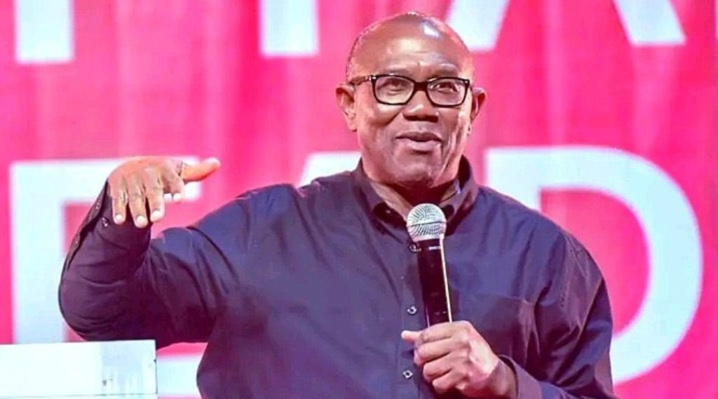 Don't Support Thieves, I'm Not Going To Steal Your Money And Make Excuses - Peter Obi
