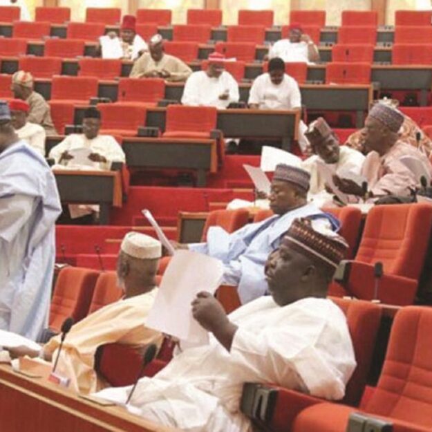 Senate drops passage of N22.7trn Ways and Means over lack of breakdown
