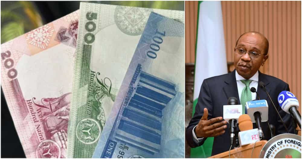 CBN, new naira notes, Godwin Emefiele, federal government