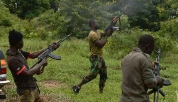 Shock As Gunmen Dispossess Policemen In Abia