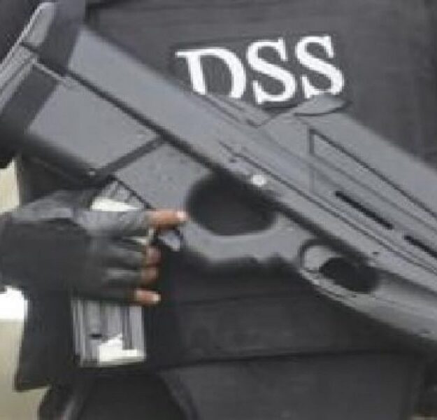 IPAC challenges DSS to name, arrest ‘misguided’ politicians plotting interim govt