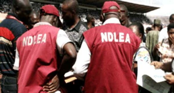 NDLEA Intercepts Illegal Drugs Concealed In Travelling Bag