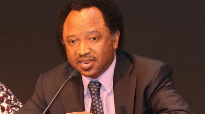 ASUU Strike: Shehu Sani Says Money Spent On Politics Can Meet Lecturers’ Demands