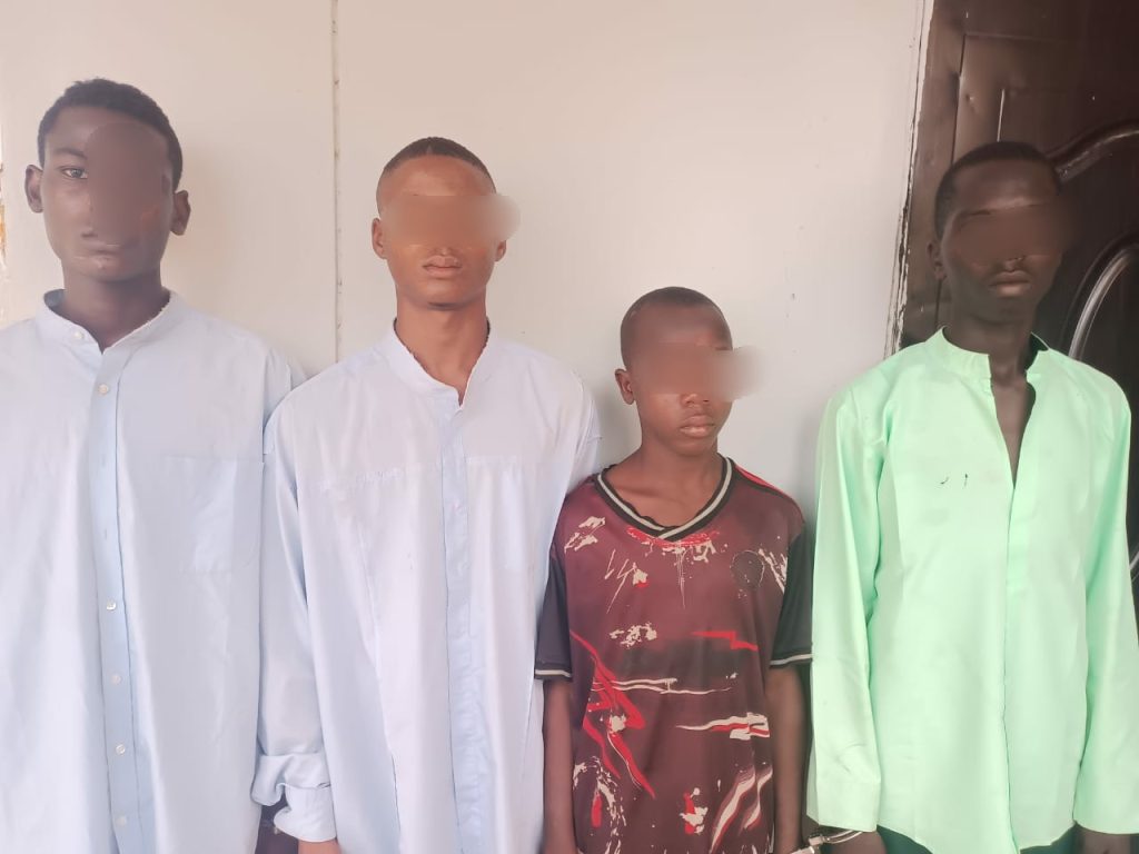 Police Nab Armed Robbery Suspects, Including 13-Year-Old Boy, in Adamawa State 3