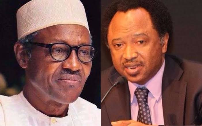 Shehu Sani Predicts What Will Happen To Tinubu If He Fails To Probe Buhari's Govt, Recover Looted Funds 3