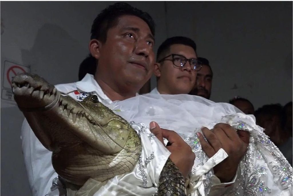 Mexican Mayor, Victor Hugo Sosa Weds Crocodile, Says 'We Love Each Other' 6