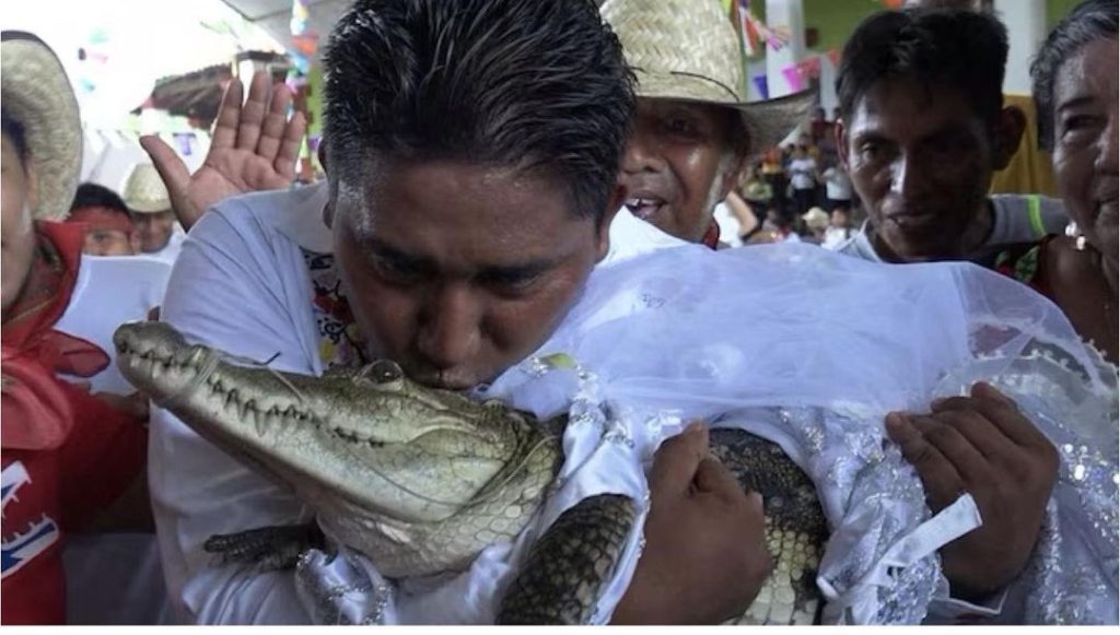 Mexican Mayor, Victor Hugo Sosa Weds Crocodile, Says 'We Love Each Other' 5