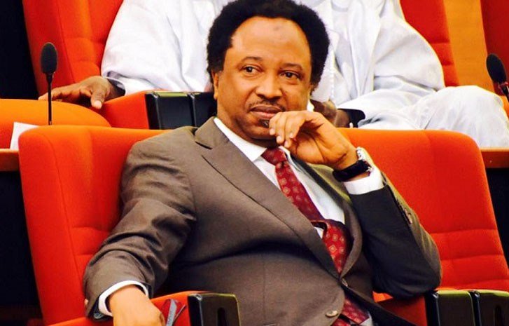 Don't Approve Military Action Against Niger - Shehu Sani Tells Senate 3