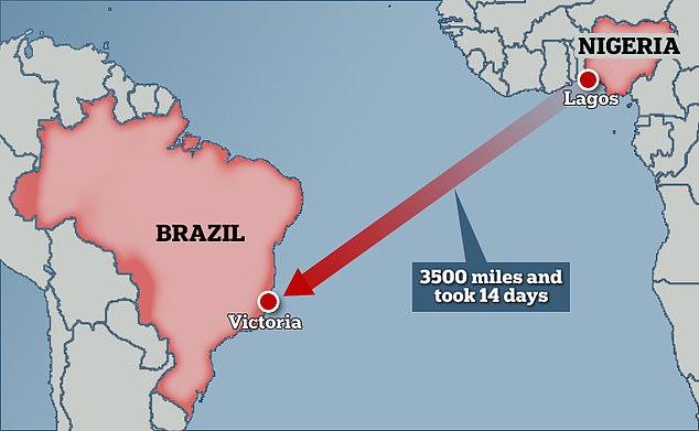 The four men travelled together from Nigeria, across the Atlantic Ocean to Vitória, Brazil. One man said he started his journey on June 27 and was surprised to find three other men already on the cargo ship, who endured the perilous 3,500 mile journey with him