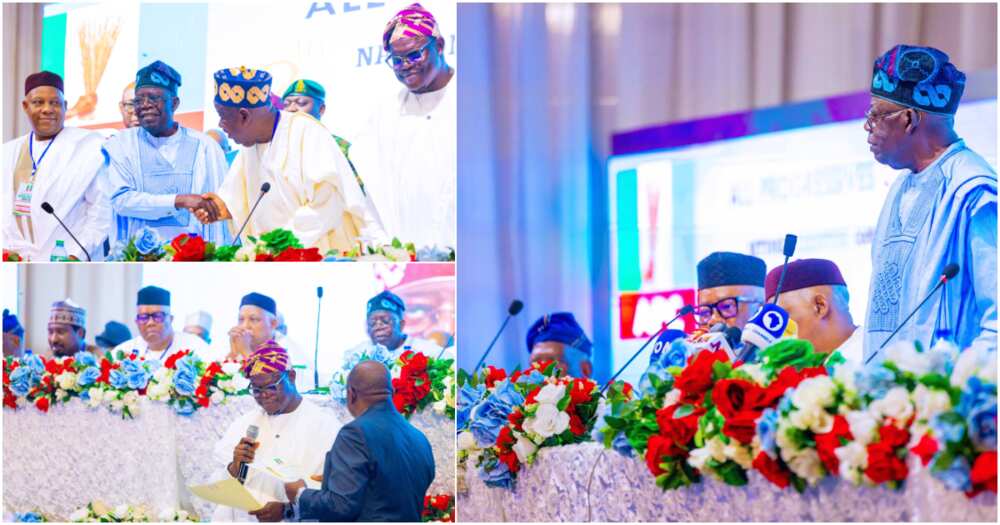 Bola Tinubu, Godswill Akpabio, APC, Kashim Shettima, H.E Abdullahi Ganduje