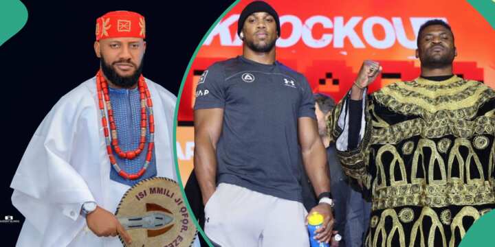 Yul Edochie Faces Backlash For Supporting Francis Ngannou Against Anthony Joshua 1