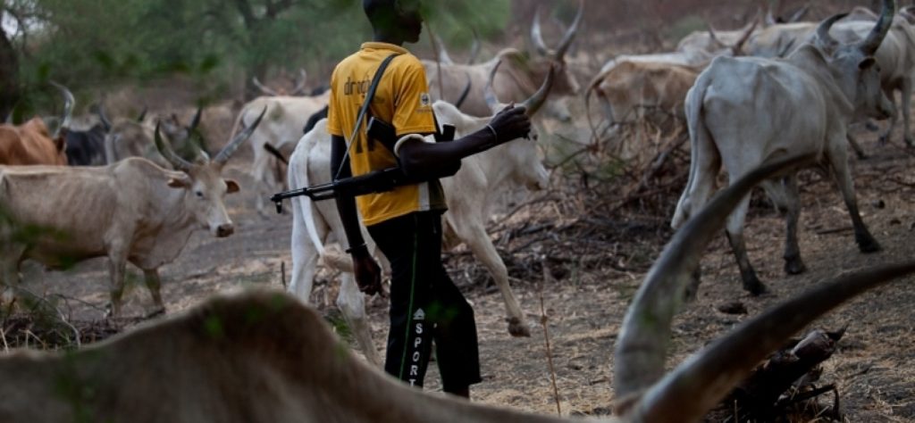 15 Persons Killed As Suspected Herdsmen Attack Agatu in Benue 1