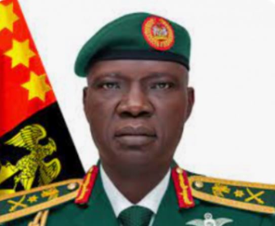Blackout: Corpses In Army Mortuaries Decomposing – COAS Laments