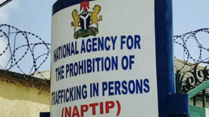 NAPTIP Arrests Two Women Over Sale Of 3-Month-Old Baby For N2m In Ekiti