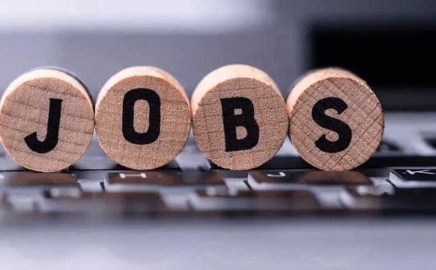 Nigerian Govt Unveils Plan To Create 100,000 Jobs By May 29