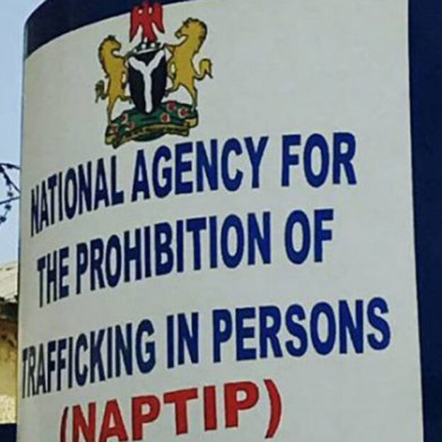Human Traffickers Are Luring Nigerians With Fake $900 Pay Jobs – NAPTIP