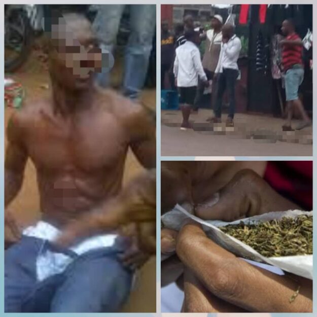 ‘King’ Collapses After Smoking ‘Colos’ in Anambra, NDLEA Reacts
