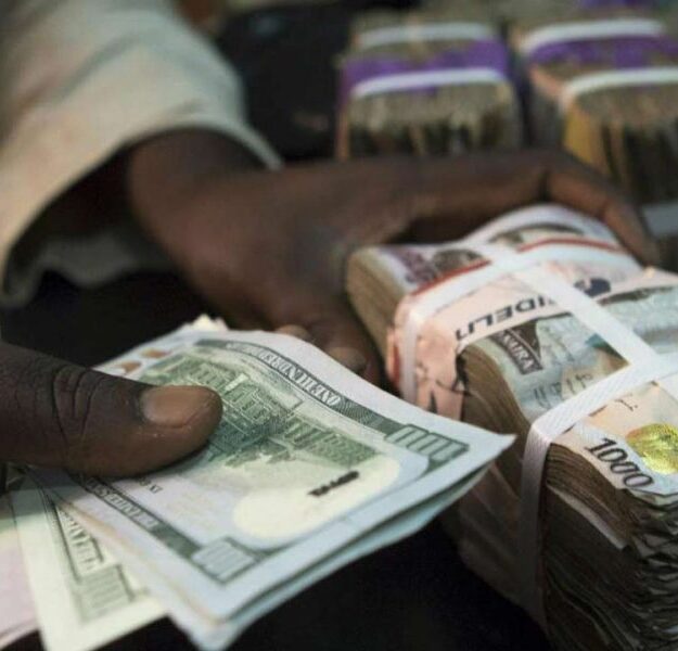 Naira ends rally, depreciates to N1,600/$ at parallel market