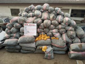 NDLEA Launches Massive Raids In Lagos, Abuja, Kano, Others, Seizes 44,948kg Drugs, Arrests 4 Kingpins (Photos)
