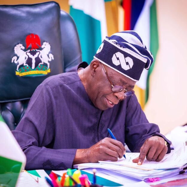 President Tinubu Appoints New Members Of FGN Power Management Team