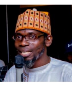 Constitutional Review: Allow INEC to conduct LG Election, Activist Sulaiman tells State Governors